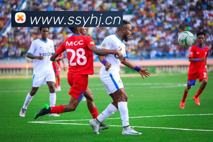 半岛网页版登录入口品牌故事