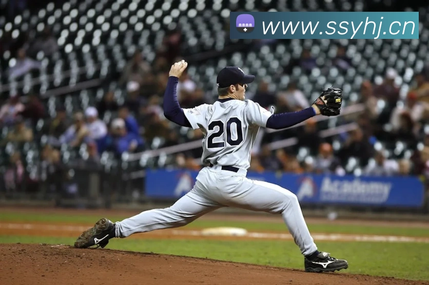 半岛网页版登录入口服务体系